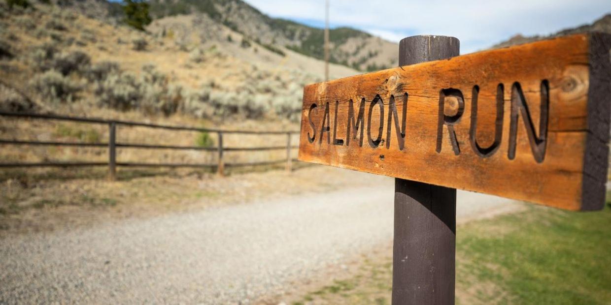 Twin Peaks Guest Ranch Villa Salmon Luaran gambar